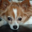 David Folk - @DavidFolk3 - Twitter