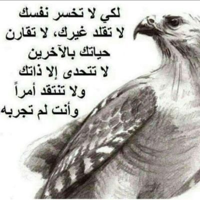 ‏‏تغريداتي مجرد سطور اعجبتني ، وحياتي الخاصة لاتنطرح امام الجميع