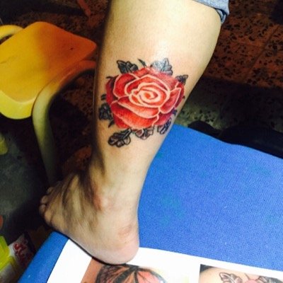 marifemeneses's profile picture. 