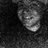 VictorP915's profile image