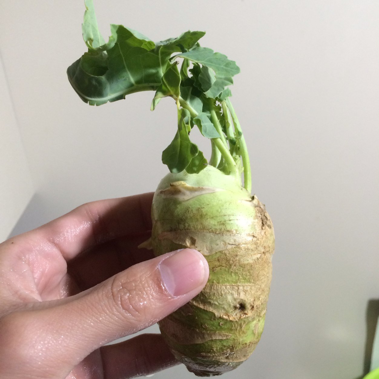 ramayana9518's profile picture. 