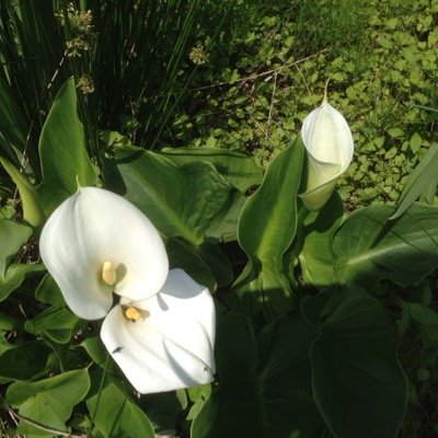 Osai318's profile picture. 