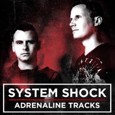 bas_systemshock's profile picture. System Shock is a collaboration between two artists. Dedicated to hardcore music. http://t.co/VRpStgFC, Bookings: bookings@systemshock.nl