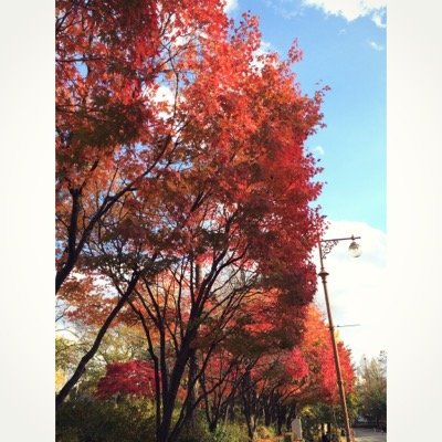 sun_asun_a's profile picture. 