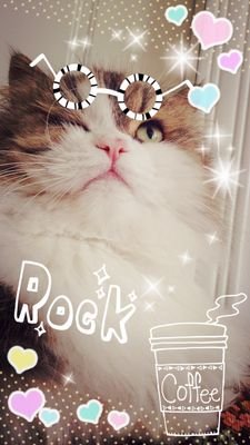 ネタ、ときどきポツリ。