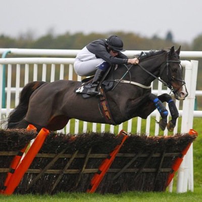 Sussex based raecehorse trainer. Had a very successful year, looking forward to more winners!!