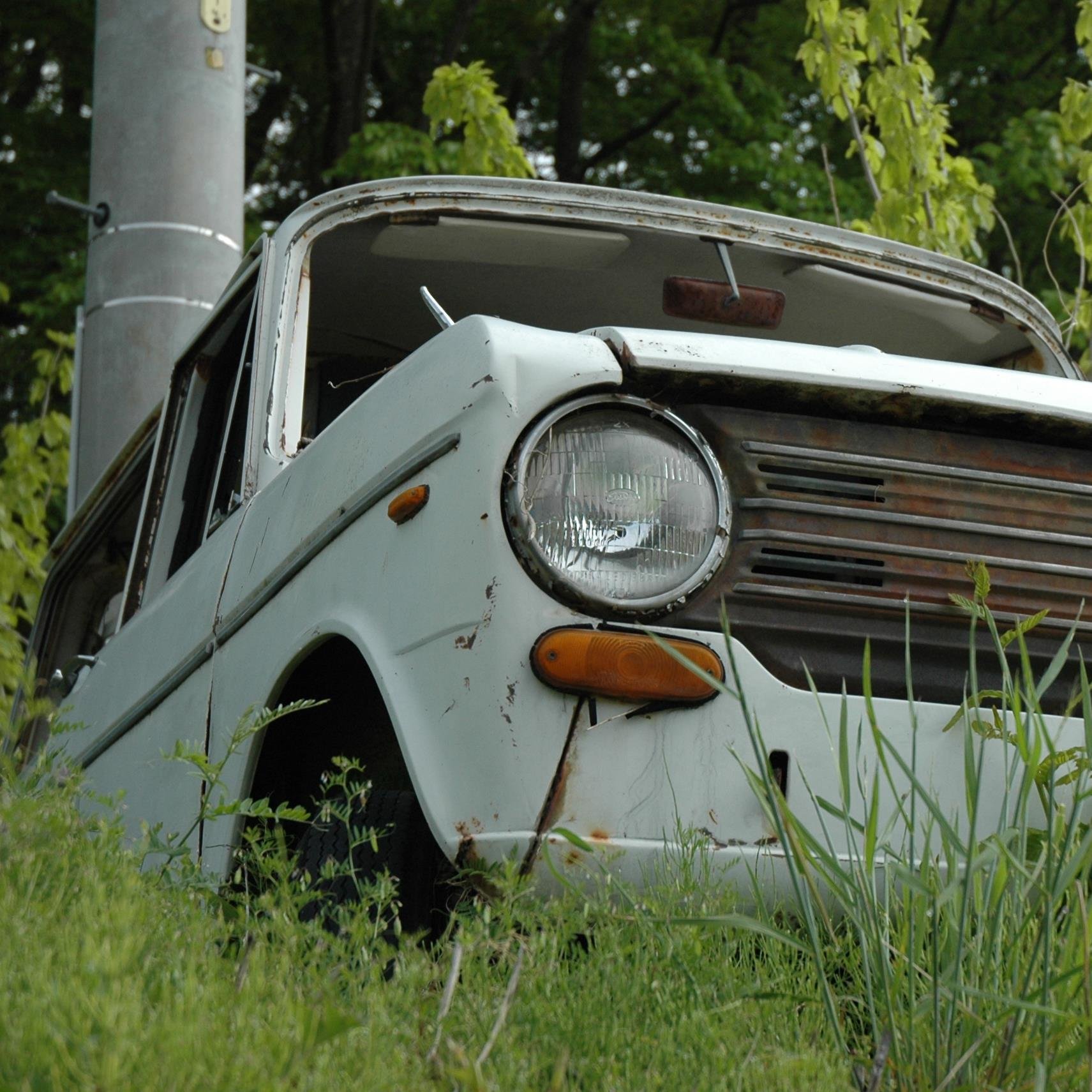 CONY_AF7V's profile picture. これまでに発見した草ヒロを紹介しております。