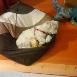 krawczyk59's profile picture. 