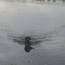 andrew crump - @ABluenose215 - Twitter