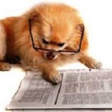 World's funny and trendy news every day! Please check out also my website.