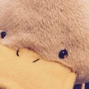 こ (@58gmgm) Twitter