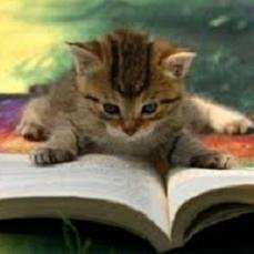 World's funny and trendy news every day! Please check out also my website.