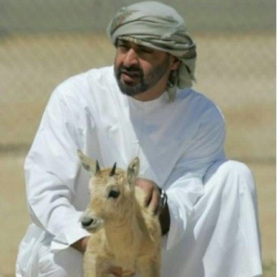 Alami75Ali's profile picture. 