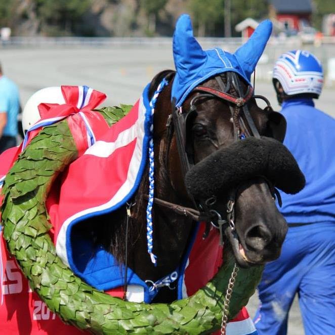 Stall_Ovi's profile picture. Stall Ovi holder til på Orre, 30min fra Forus Travbane. Vi har mange trivelige løps,- og unghester på stall, hvor dronninga vår er Ulsrud Tea :)