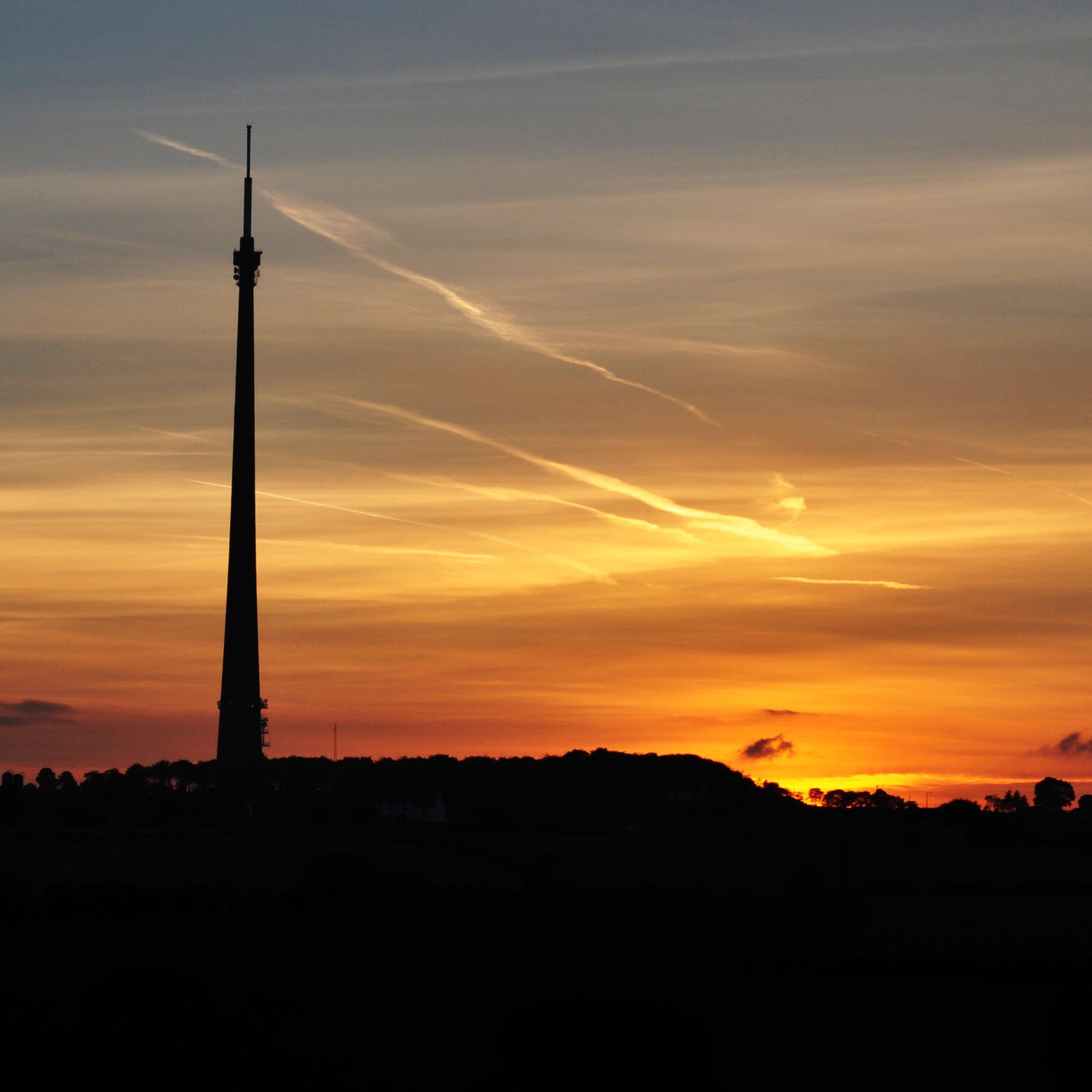 SchnauzerDebs🇺🇦