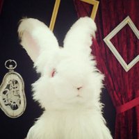 いくっぺ (@kukuppe) 's Twitter Profile