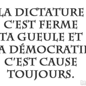 Pour un pouvoir legislatif proportionnellement representatif Pour une annulation de la revision de la Constitution de 2010