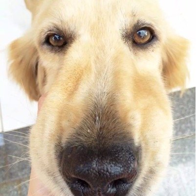 KiritoRyuga's profile picture. hello. mah real name is thao. i'm vietnamese :*