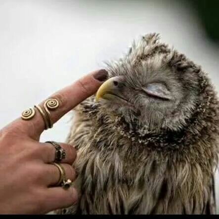 msh_only10's profile picture. 