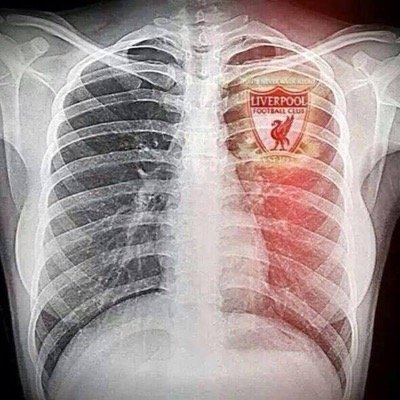 Redderslfc's profile picture. liverpool is in my blood, its my religion and Anfield is my church! justice for the 97 and while im at it never buy The S*n. #JFT97 #YNWA