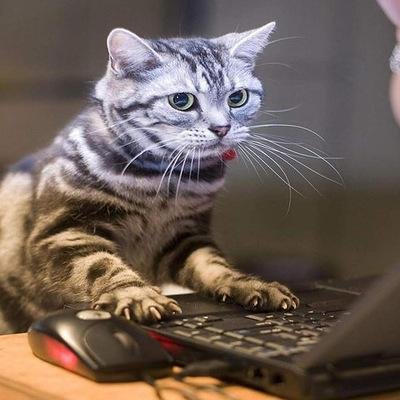 aysberg159's profile picture. 