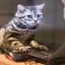 Марина Б (@aysberg159) Twitter profile photo