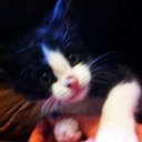 Maddison Freeman - @kovu_is_cute - Twitter