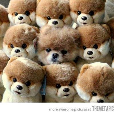 Hello! Do you like to read world's funny news everyday? Please visit my website too! Thank you.