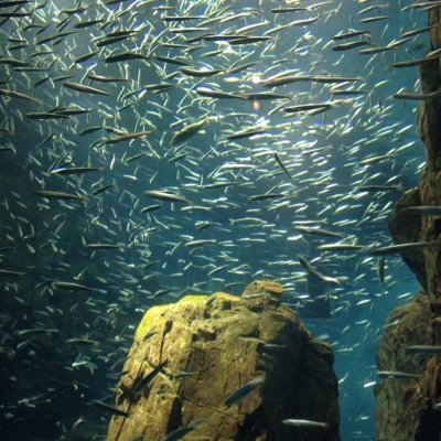 knsmile0503's profile picture. 