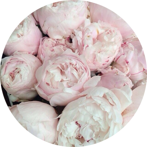 Fleur_de_Amour's profile picture. Телефон для контакта: 89162087700 what's up/viber      /     http://t.co/PQn14sOWUM