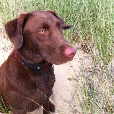 tripptc's profile picture. 