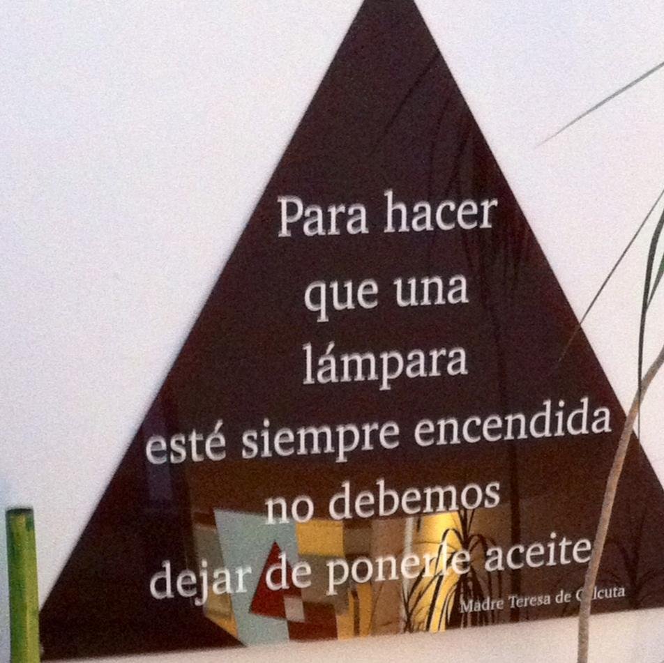 begonabotana's profile picture. peluqueria estetica ecologica C/ San Vicente 16 La Coruña 981154455. 670819898.