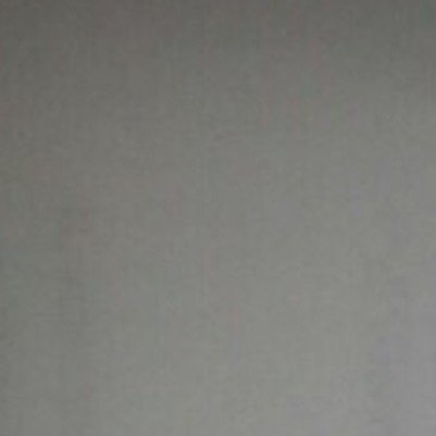 adicarmely31100's profile picture. 