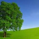 AmorToTiE's profile picture. 