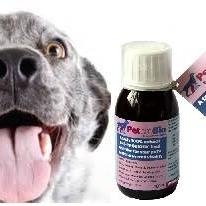 PetproBio's profile picture. PetproBio -  Fermented Herb Extract (FHE) for dogs, cats & small animals. PetproBio maintains internal flora & fauna.