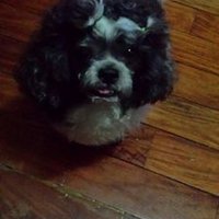 Bodak B. (@angnotebook) 's Twitter Profile