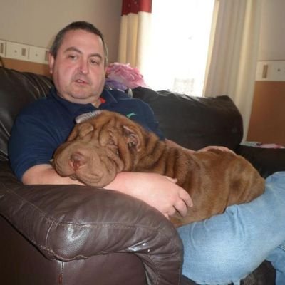 sball0371's profile picture. 