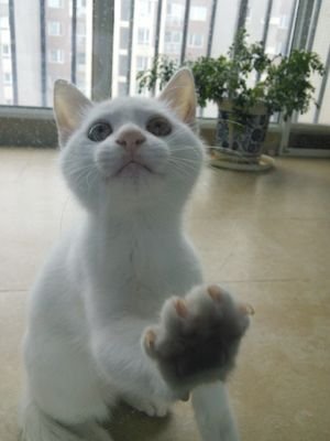 a5822007's profile picture. 