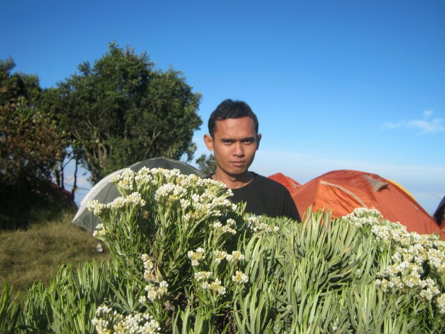 Explorationist