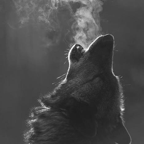 FerminGaekel's profile picture. 