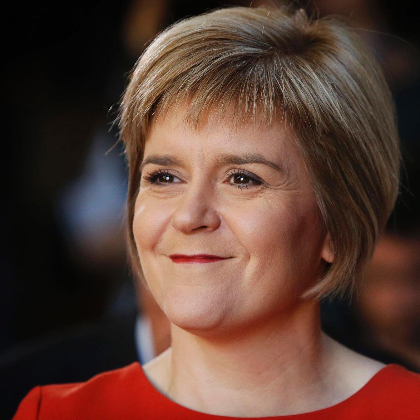 nippysturgeon's profile picture. 