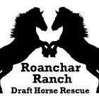 A 501 (c)(3) organization whose goal is to rehabilitate, retrain and rehome draft horses that have been slated to be slaughtered.