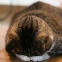 DeathmetalG13's profile picture. 