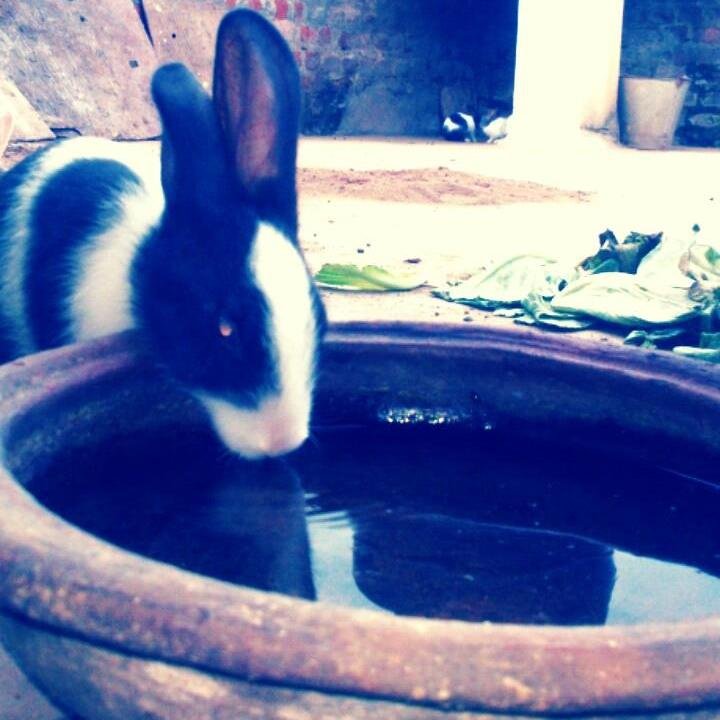 navinmech063's profile picture. 