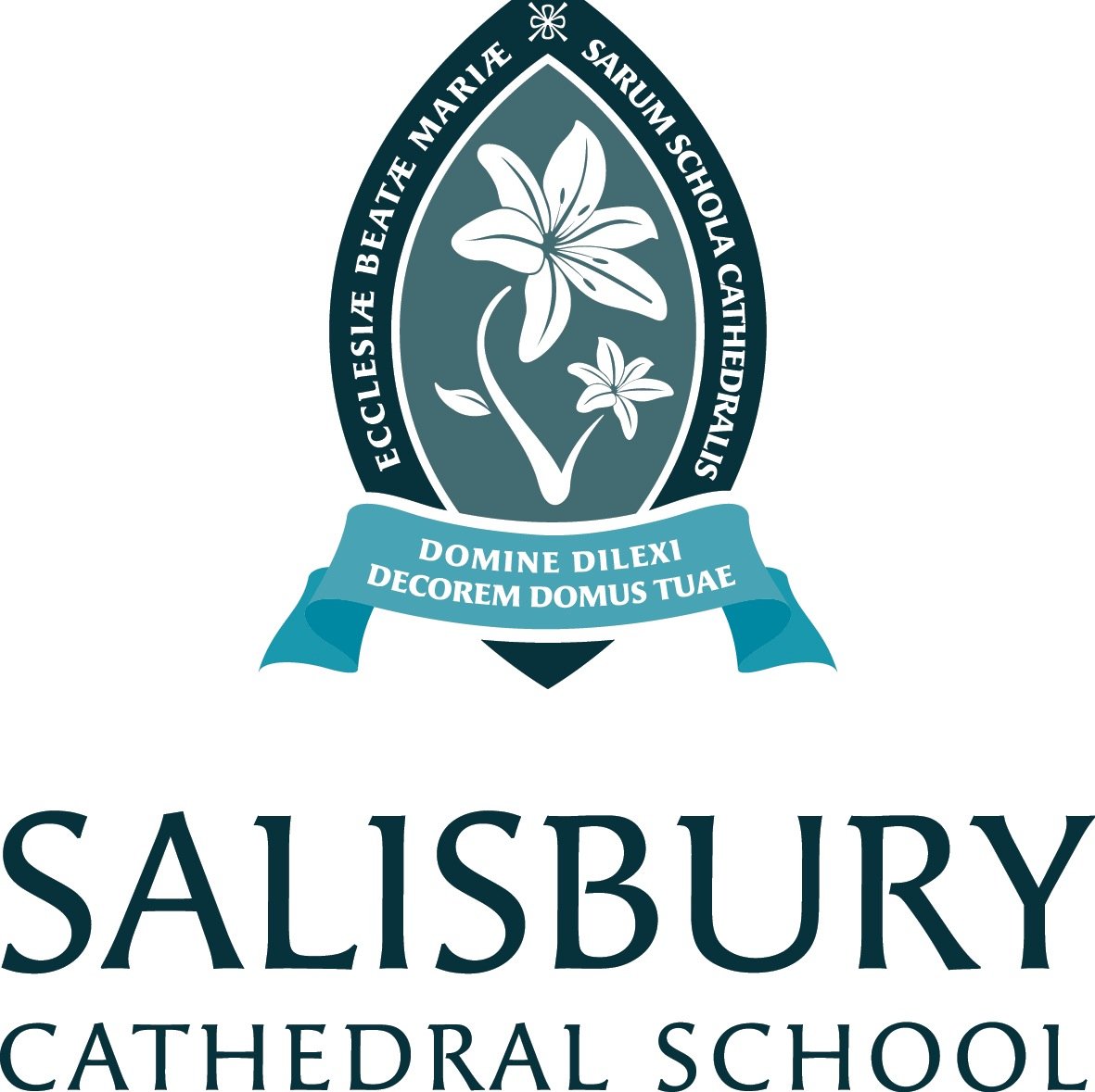Music is at the heart of Salisbury Cathedral School. Over 90% of the prep school learns an instrument and music can be heard from every corner of the school.