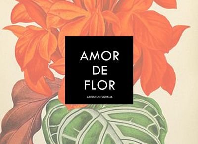 Ikebana. Todo tipo de arte floral. Diseños originales y personalizados de centros y ramos. Decoración de bodas, sesiones fotográficas, eventos...