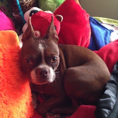 kellysoto07's profile picture. 