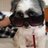 jjw4305's profile image