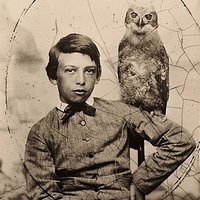 Doug Armato (@noctambulate) 's Twitter Profile Photo