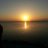 herron103's profile image